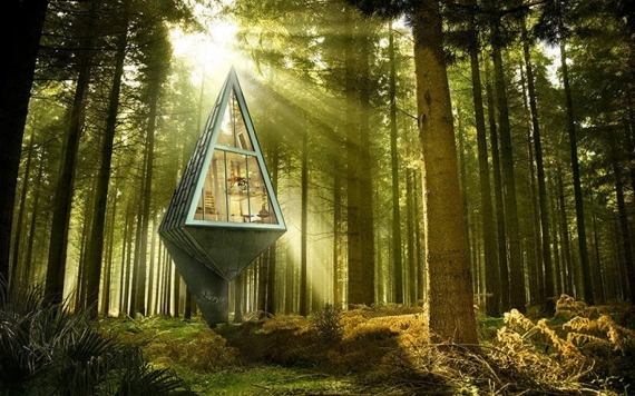 13 casas de árbol en las que querrías vivir
