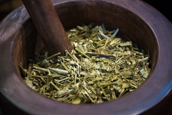 El mate, ¿es bueno o malo para la salud?