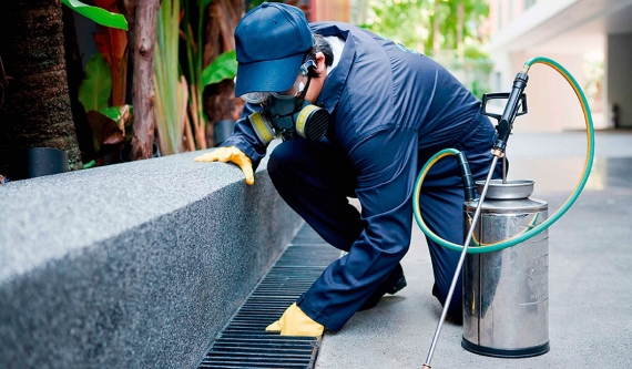 Empresas de fumigaciones, desinfección y control de plagas en Uruguay