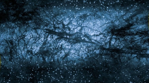 El cuerpo humano como detector de materia oscura